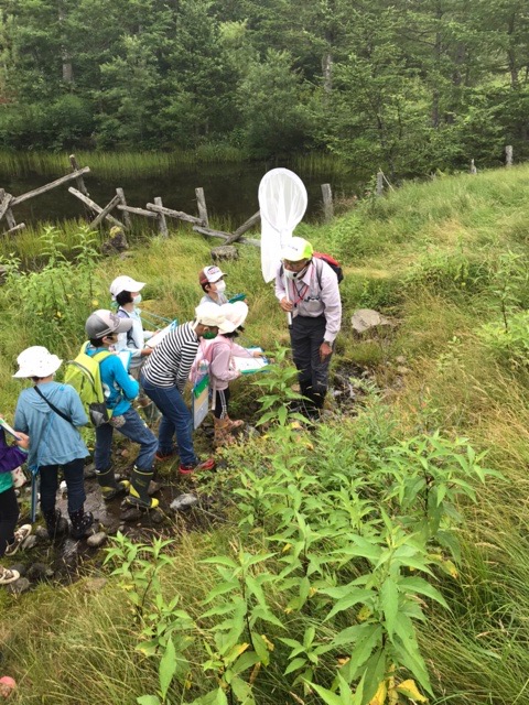 宮田村公式サイト 宮田高原で森の大切さを学ぼう うめっこ塾野外体験を開催しました