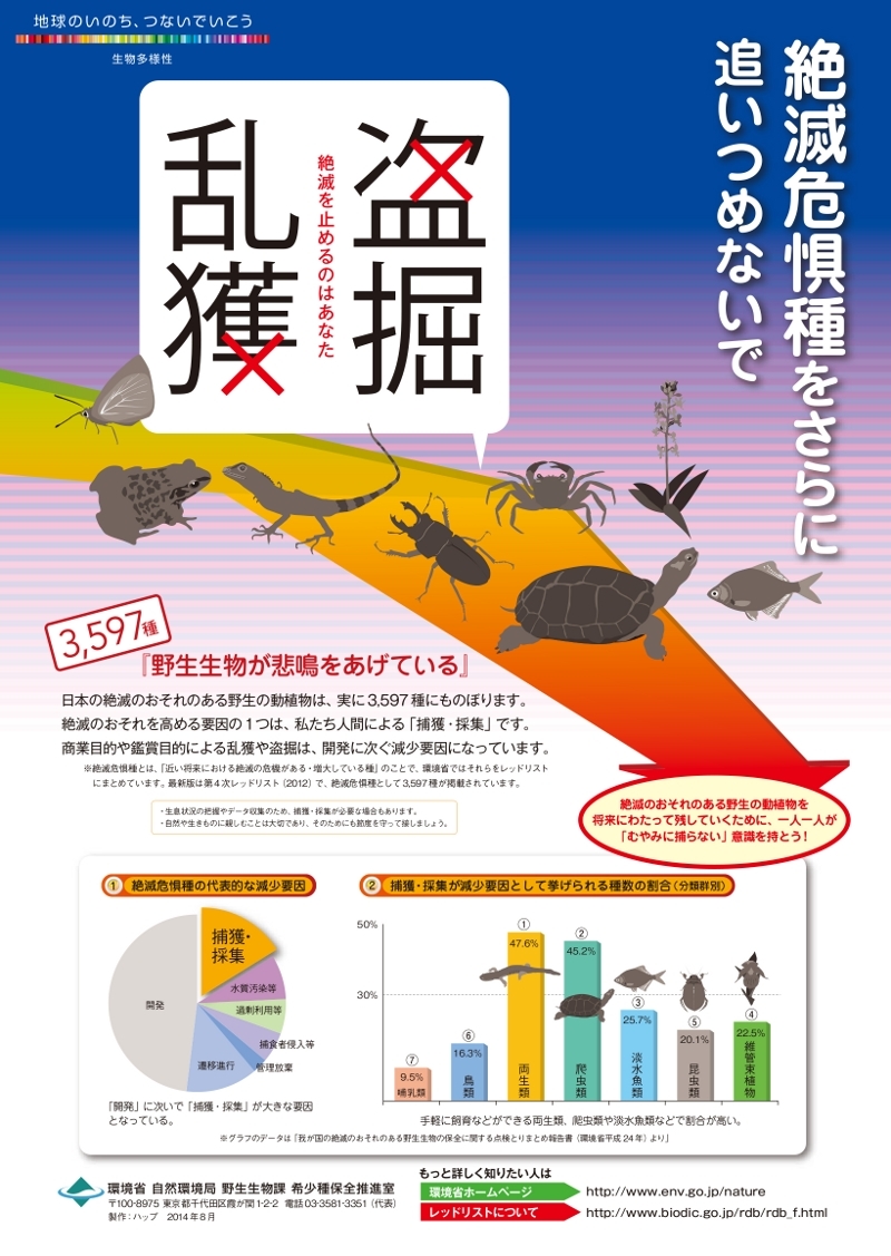 宮田村公式サイト 絶滅危惧種をさらに追いつめないで 絶滅危惧種の捕獲 採集圧に関する普及啓発
