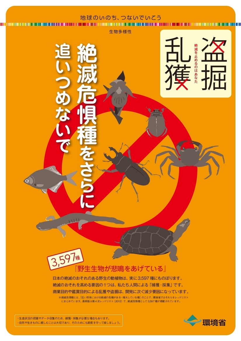 宮田村公式サイト 絶滅危惧種をさらに追いつめないで 絶滅危惧種の捕獲 採集圧に関する普及啓発