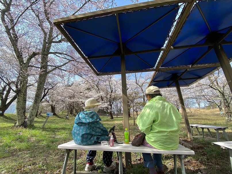 村内の桜ビュースポット-トップ画像
